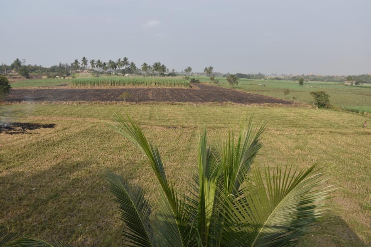 Coconut Homestay Hampi Εξωτερικό φωτογραφία